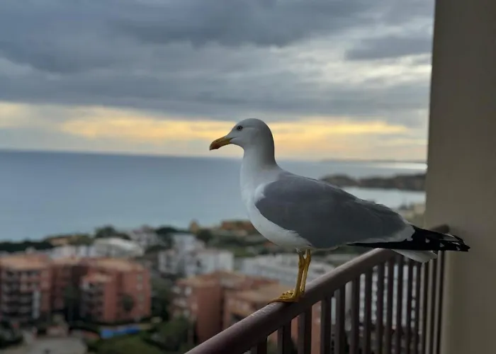 Sofiamarholidays - Casa Mar 公寓 波尔蒂芒