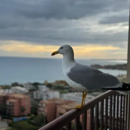 Sofiamarholidays - Casa Mar Apartamento Portimão